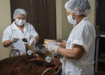 Un cafetal del tamaño de Bolivia