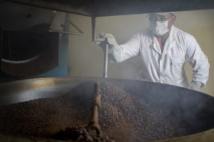 “Un cafetal del tamaño de Bolivia” será presentado en Tarija