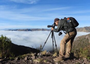 Flavia Marco Navarro