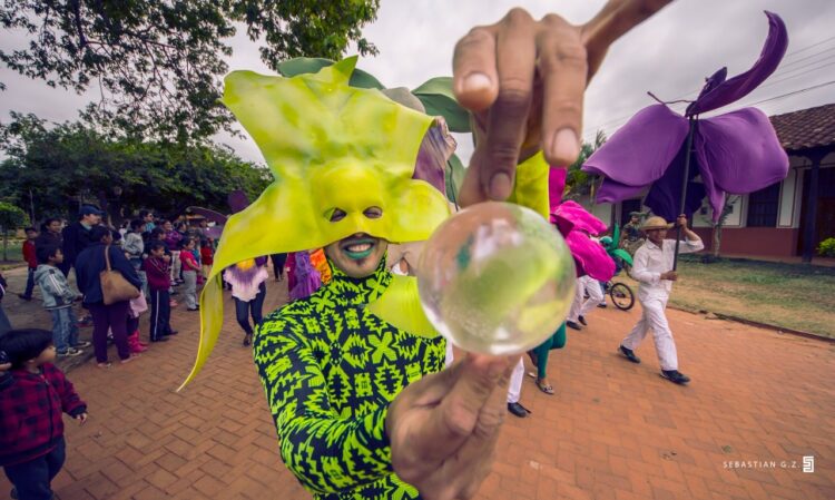 Se viene la vigésima segunda versión del Festival de la Orquídea de Concepción