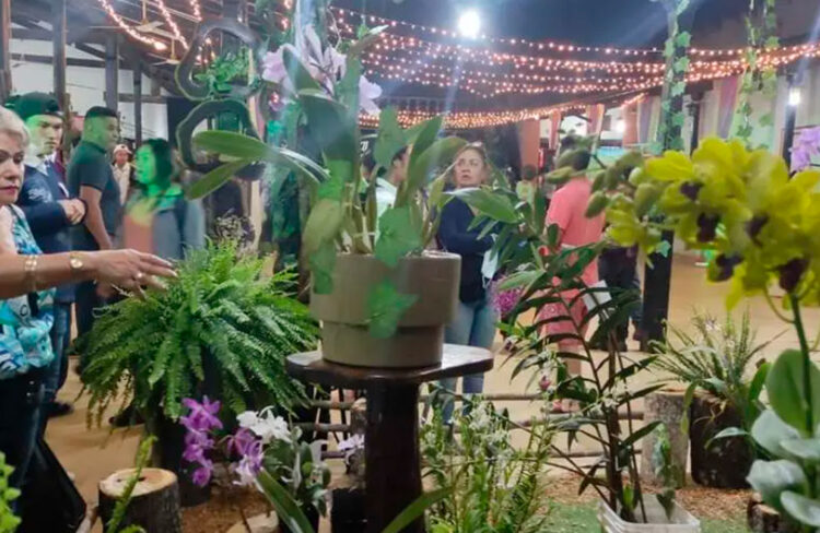 Festival de la Orquídea de Concepción cerró su primer día con más de 3.000 asistentes