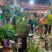 Festival de la Orquídea de Concepción cerró su primer día con más de 3.000 asistentes