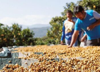 Para seguir caminando