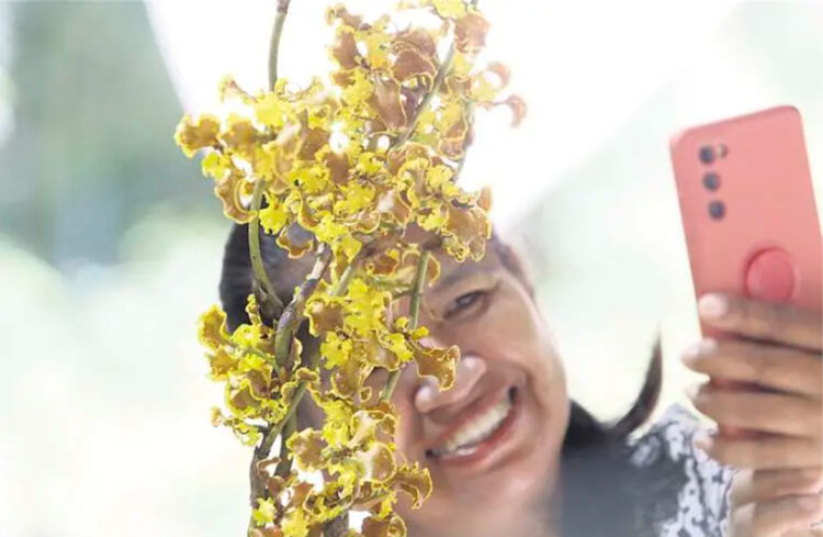 El santuario de la orquídea tendrá tres días mágicos