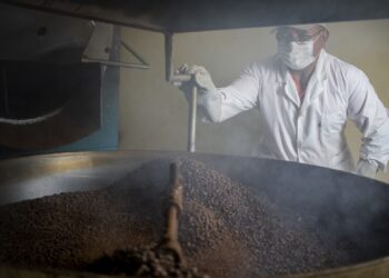Un cafetal del tamaño de Bolivia en Chuquisaca