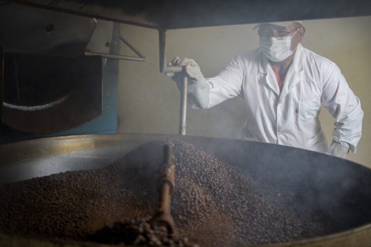 Un cafetal del tamaño de Bolivia en Chuquisaca