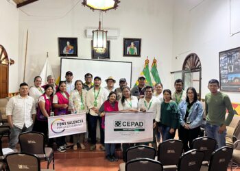 Concepción fortalece su rol contra la violencia de género