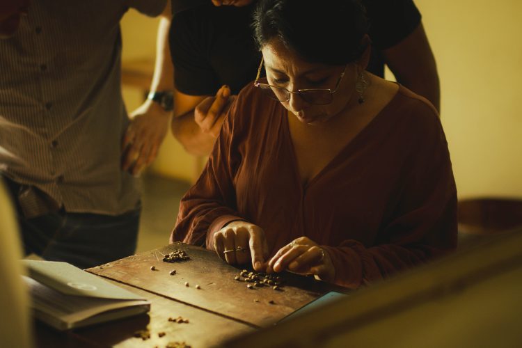 Café Auténtico Chiquitano: calidad que crece