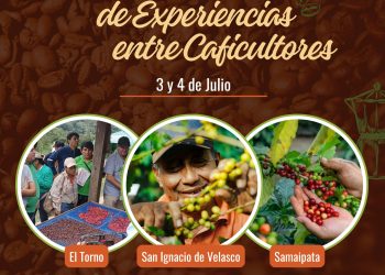 Café chiquitano en movimiento: saberes que cruzan territorios