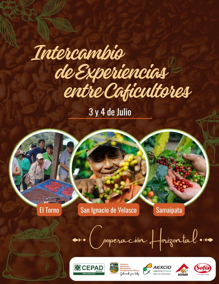 Café chiquitano en movimiento: saberes que cruzan territorios