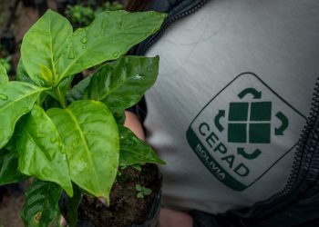 Fortaleciendo la producción de café en San Ignacio de Velasco