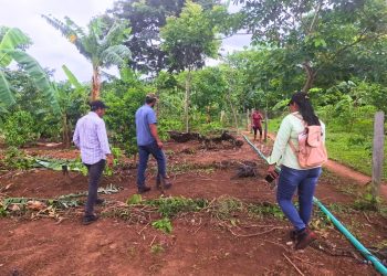 Café MINGA florece tras un año de asesoramiento continuo