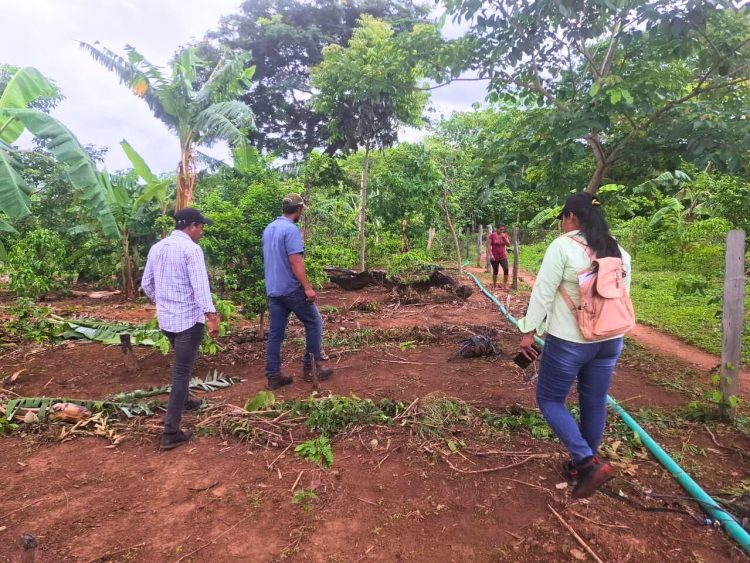 Café MINGA florece tras un año de asesoramiento continuo