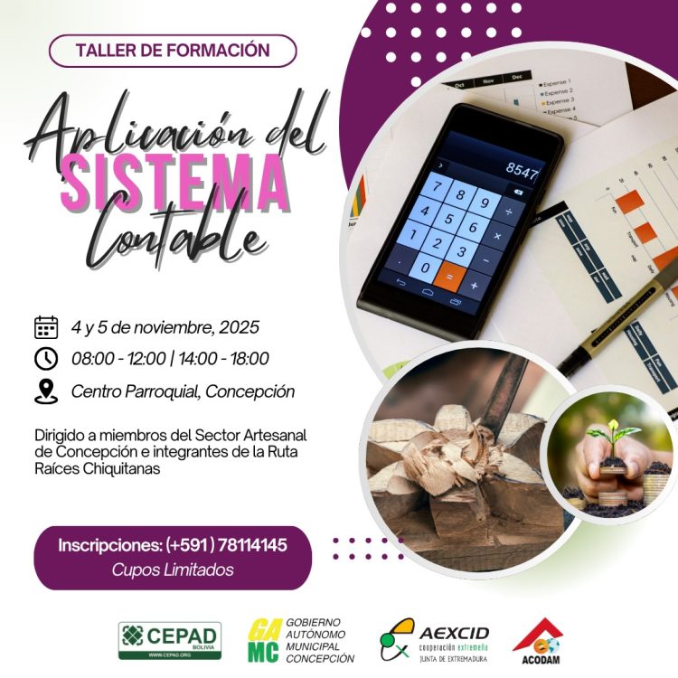 Emprendimientos artesanales de Concepción aplican nuevo sistema contable para fortalecer su gestión económica