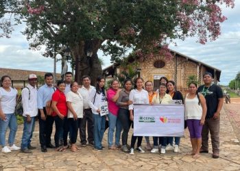 Raíces que cuentan historias: formación para guías de la Ruta en Concepción