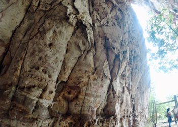 Realizan intervención de mantenimiento en la Cueva Juan de Miserendino para mejorar condiciones de seguridad y conservación