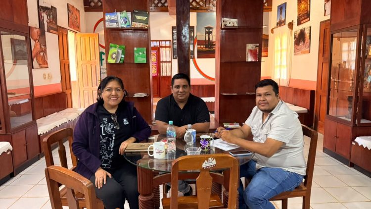 Concepción inicia la cuenta regresiva para el XXVI Festival de la Orquídea