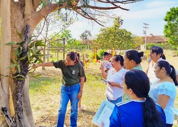 Docentes de Concepción llevan la conservación del patrimonio natural a las aulas