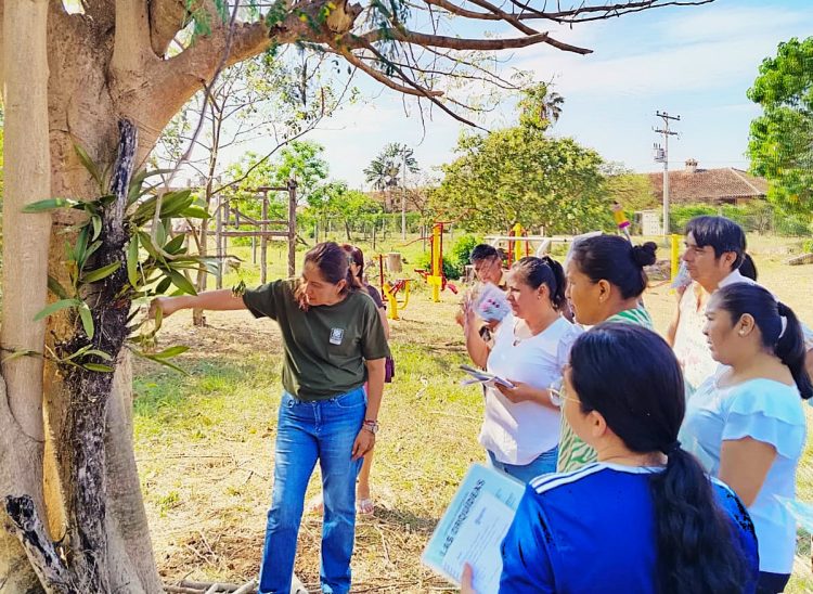 Docentes de Concepción llevan la conservación del patrimonio natural a las aulas