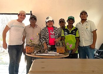 El Orquideario de Concepción refuerza el cuidado de sus especies