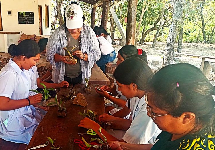 El Carmen convierte su vivero y sendero en aulas vivas para conservar las orquídeas